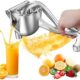 Fruit Juice Squeezer